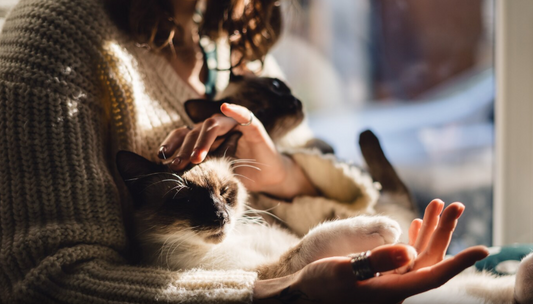 Essential Tips for Your Pet’s Well-being